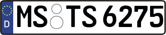MS-TS6275