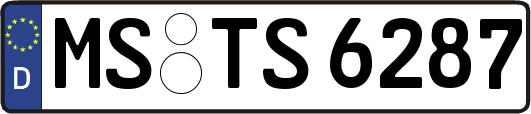 MS-TS6287