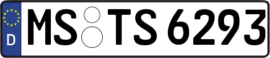 MS-TS6293