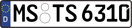 MS-TS6310