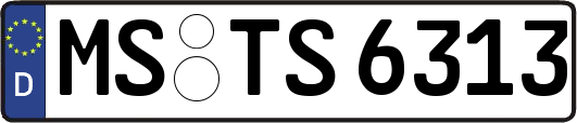 MS-TS6313