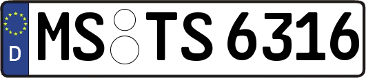 MS-TS6316