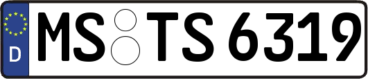 MS-TS6319
