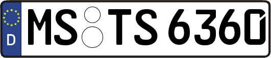 MS-TS6360