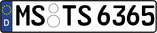 MS-TS6365