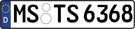 MS-TS6368