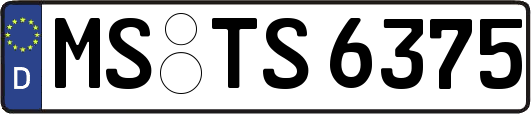 MS-TS6375