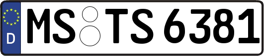 MS-TS6381