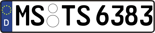 MS-TS6383