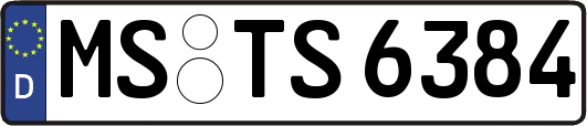 MS-TS6384