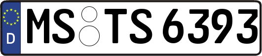 MS-TS6393