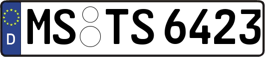 MS-TS6423