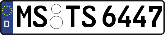 MS-TS6447