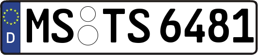 MS-TS6481