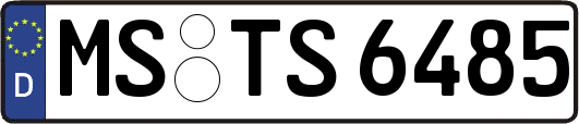 MS-TS6485