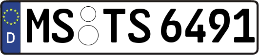 MS-TS6491