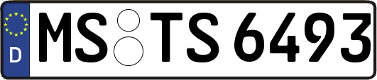 MS-TS6493