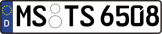 MS-TS6508