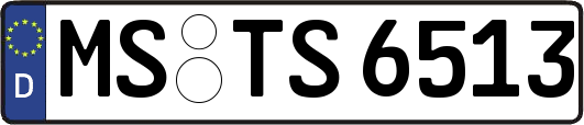 MS-TS6513
