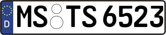 MS-TS6523