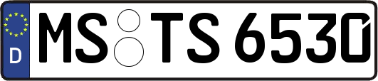 MS-TS6530