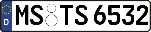 MS-TS6532