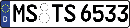 MS-TS6533