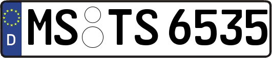 MS-TS6535