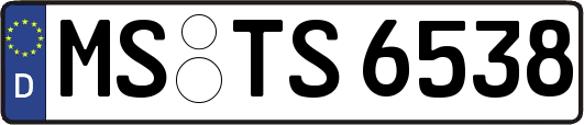 MS-TS6538