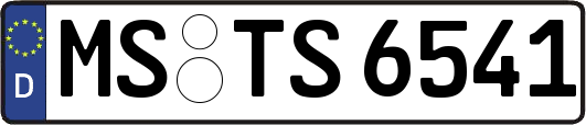 MS-TS6541