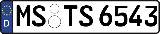 MS-TS6543