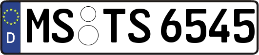 MS-TS6545