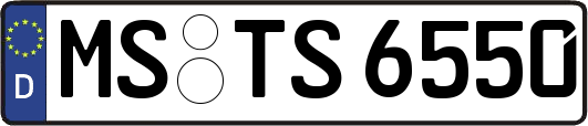 MS-TS6550