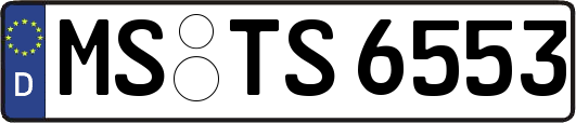 MS-TS6553