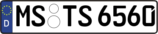 MS-TS6560