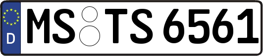 MS-TS6561