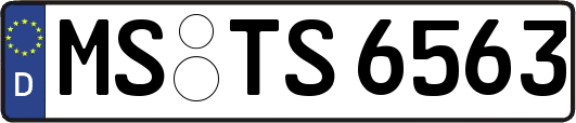 MS-TS6563