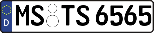 MS-TS6565