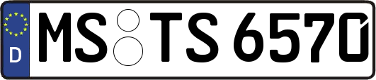 MS-TS6570
