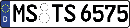 MS-TS6575