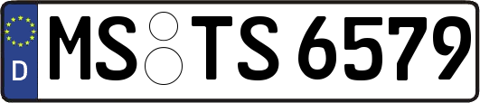 MS-TS6579