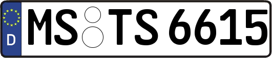 MS-TS6615