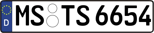 MS-TS6654