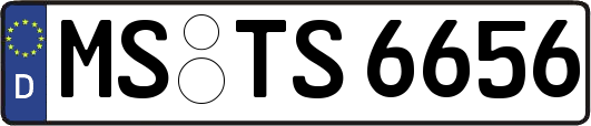 MS-TS6656