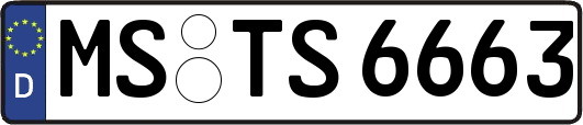 MS-TS6663