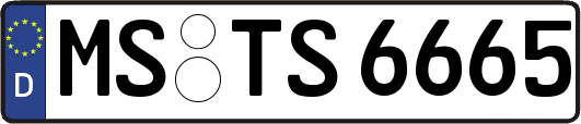 MS-TS6665