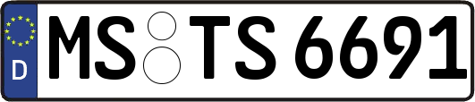 MS-TS6691