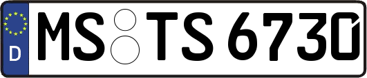 MS-TS6730