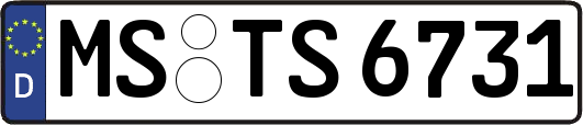 MS-TS6731