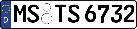 MS-TS6732